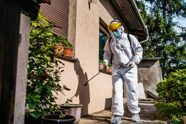 Professional Pest Control in Felton, DE